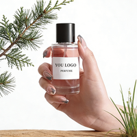 Parfum personnalisé au bois d'ambre frais avec emballage cadeau de luxe, marque privée, parfum longue durée pour homme