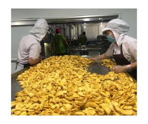 Chips de Jaca secas naturales, al por mayor precio de fábrica, aperitivo dulce crujiente a granel, servicio OEM, Exportación lista, proveedor de Vietnam - Product Image 3