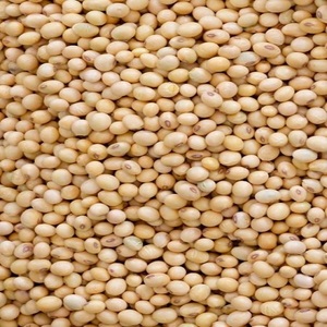 Soja séché de haute qualité dans un emballage en vrac - Product Image 1