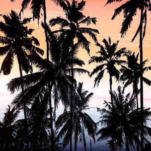 Camiseta sin Mangas para Hombre, Ajustada, de Algodón, Tejido de Punto 3D, Secado Rápido, Transpirable, Ropa Urbana de Alta Calidad, MOQ Bajo, Logotipo Personalizado para Gimnasio - Product Image 2