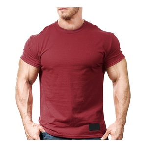 T-shirt athlétique Fitness personnalisé tendance de haute qualité pour hommes pour la musculation Slim Fit respirant et séchage rapide toutes saisons bas quantité minimale de commande - Product Image 2