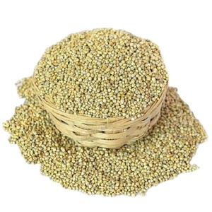 Mijo verde de la mejor calidad para alimentación animal disponible para la venta - Product Image 2