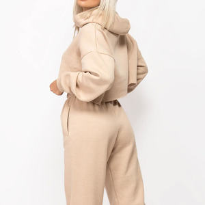 เสื้อฮู้ดดี้ลำลองผู้หญิง แขนยาว ทรงโอเวอร์ไซส์ ผ้าถักวิสโคส ด้านหน้าแบบกำหนดเอง เสื้อครอปสปอร์ต สำหรับฤดูใบไม้ร่วง/ฤดูหนาว ระบายอากาศได้ดี กันน้ำ - Product Image 5