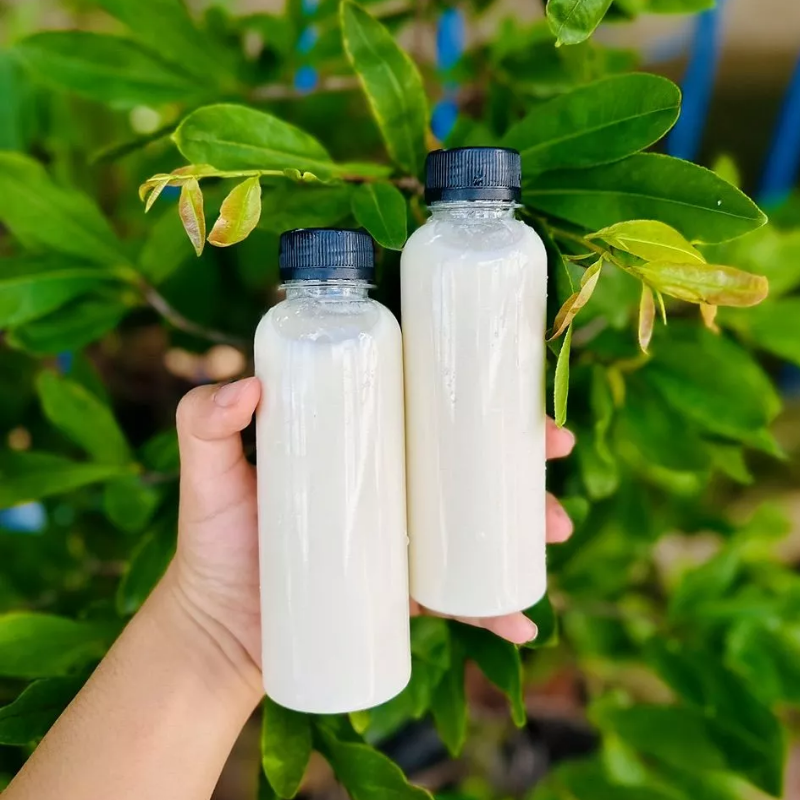 โปร่งใส