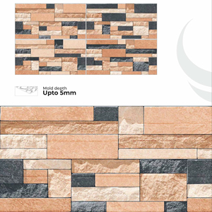 Carreaux de porcelaine pour l'élévation des murs extérieurs, système de mur extérieur, 300x600 mm - Product Image 1