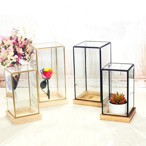Terrario de vidrio geométrico con Base de madera de pino, caja de exhibición de vidrio y latón, cuboide, nuevo diseño y alta calidad, venta al por mayor - Product Image 1
