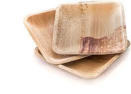 Nouveau design de plaques de feuille d'areca en bambou plaques de feuille d'areca jetables du Bangladesh - Product Image 4