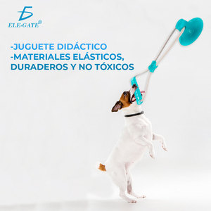 Giocattolo Interattivo per Cani Anti-Stress, Massaggiagengive Ricaricabile con Impugnature Ergonomiche - Product Image 4