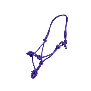 MS TECHIFY EXPORTS Licol de cheval en nylon solide et durable 10 tailles Logo couleur personnalisable Utilisation équestre Haute qualité disponible - Product Image 1