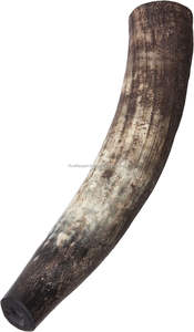 เครื่องดนตรีแบบดั้งเดิม แตรเป่าทำจากเขาควายดำธรรมชาติ - Product Image 5