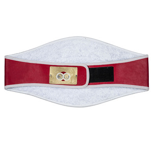 World heavyweight Championship เข็มขัดแชมป์โลกรุ่นใหญ่สีทองขนาด4มม. ชื่อสำหรับผู้ใหญ่ - Product Image 6