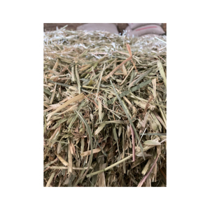 High Quality Alfalfa Hay <b>Oats</b> Hay Animal Feed for Sale Animal Feed Turkish Alfalfa hay for Sale in Bulk - Product Image 1