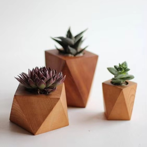 กระถางไม้สำหรับปลูกในสวนภาชนะงานหัตถกรรมกระถางดอกไม้สำหรับสวนหลังบ้านปลูกต้นไม้อย่างสร้างสรรค์ - Product Image 1