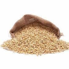 Grano de Trigo Duro Natural, No Transgénico, Limpio y Seco, Suministro a Granel para Fábricas de Harina, Calidad Premium de Exportación, En Venta - Product Image 4