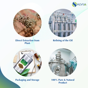 Venta al por mayor a granel 100% aceite esencial de semilla de comino puro y natural embalaje personalizado precio bajo - Product Image 4