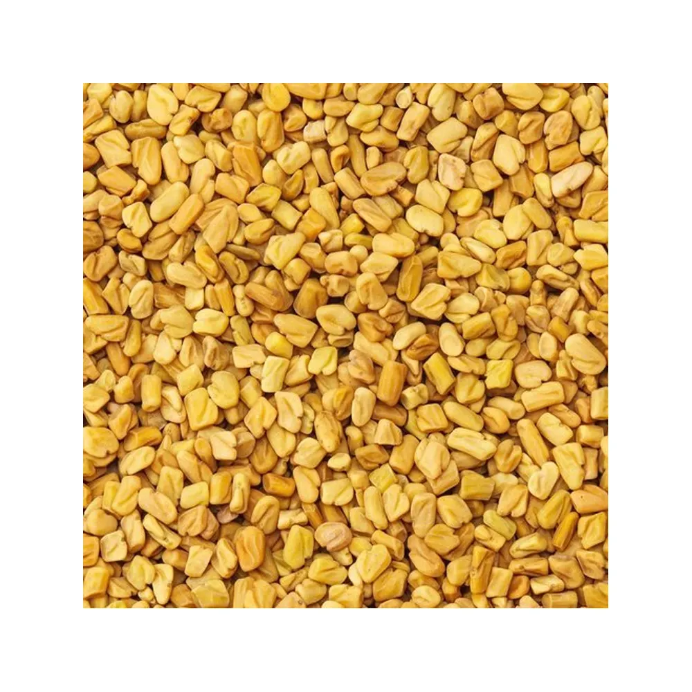 Rich Source Of Natural Protein Fenugreek Seeds Purchase Dried Indian Single Spices At Competitive Price