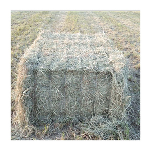Heno de Pasto Rhodes Natural de Primera Calidad para Ganado y Caballos - Product Image 6