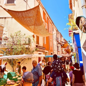 Vente en gros de voile d'ombrage en fibre de coco coco pour décoration Voiles et filets d'ombrage meilleure qualité Eco2go Vietnam - Product Image 4