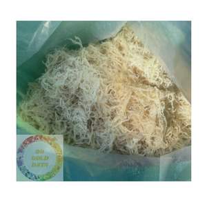 สาหร่ายแห้ง Eucheuma cottonii เวียดนามส่งออกโดยตรงจากโรงงาน - Product Image 1