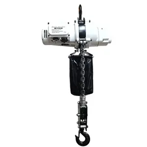 Top Supplier for OEM 250kg 1000kg Mini Single Phase Electric Chain Hoist with Limit Device