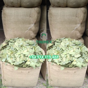 Daun kayu manis alami merupakan pilihan yang tepat untuk label OEM dalam kemasan ritel dan layanan makanan (WA +84914319488)