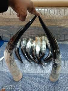 100% meilleure qualité cornes de boeuf sculptées Viking cornes à boire lampe au sel sans danger pour les aliments par fabricant indien très abordable - Product Image 3