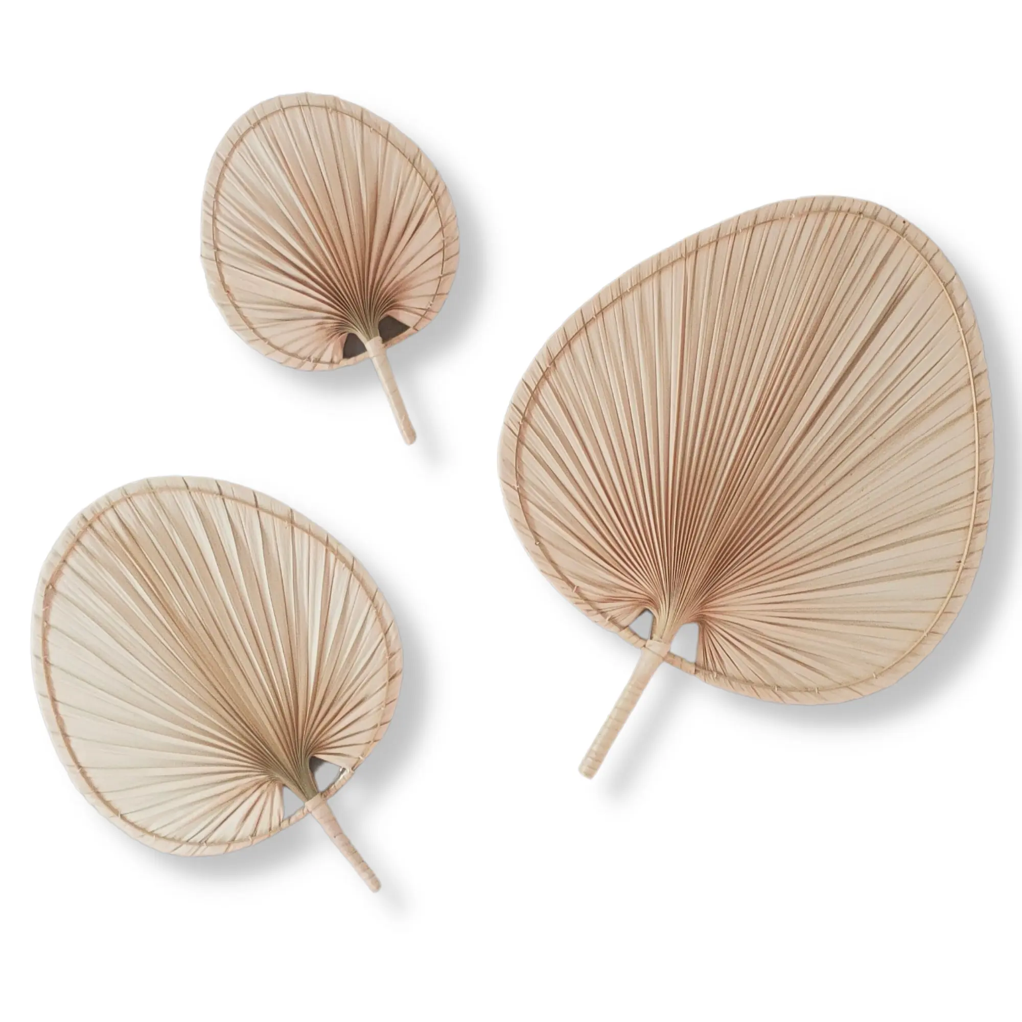 Bio Palm blatt Hand Fan für Hochzeits dekor-Natürliches Palm blatt Dekor für tropisches Thema, Amazon Hot Selling Handfan Vietnam