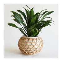 Série de jardinières artisanales en rotin Bohemian Earth Luxe : Tressage élégant pour une présentation intemporelle et stylée de la verdure de jardin, léger