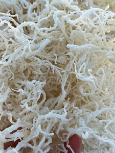100% naturel algues Seamoss Eucheuma Cottonii avec sel séché mousse de mer de qualité supérieure origine Vietnam - Product Image 5
