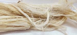 Bon marché, fibre de sisal de qualité, chanvre naturel, fibre de sisal de qualité UG, vente au Kenya - Product Image 4