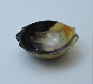 Tazón Hecho a Mano con Cuerno de Búfalo Natural, Acabado Transparente, Pulido, para Servir Masa, para Uso en el Hogar, Hoteles y Restaurantes - Product Image 4