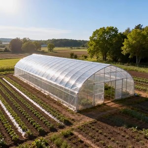 Serre commerciale agricole pour légumes-feuilles, tunnel hydroponique à irrigation automatique pour laitue - Product Image 1