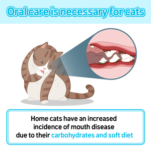 Bằng miệng kem đánh răng dạng lỏng cho mèo tartaric mảng bám xấu hơi thở quản lý khoang phòng ngừa an toàn vật nuôi chăm sóc sức khỏe bổ sung - Product Image 3