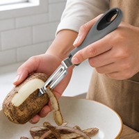Aardappelschiller met draaibaar mes, roestvrij staal, oogjesverwijderaar, keukenhulpje voor voedselkraam, kantine, voorbereiding, groothandel, bulk