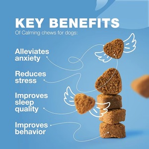 Cápsulas Calmantes <span class=keywords><strong>para</strong></span> <span class=keywords><strong>Perros</strong></span> con Aceite de Pescado <span class=keywords><strong>para</strong></span> Aliviar la Ansiedad de Viaje, OEM/ODM, <span class=keywords><strong>para</strong></span> <span class=keywords><strong>Perros</strong></span>, Gatos y Peces - Soporte Inmunológico Suave <span class=keywords><strong>para</strong></span> Todas las Razas - Product Image 5