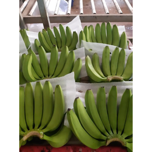 Fruits et légumes frais Bananes Cavendish Banana du Vietnam à un prix compétitif pour l'exportation - Product Image 1