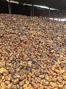 ก้อนถ้วยยางดิบธรรมชาติพร้อม DRC 65%-75% - Product Image 6