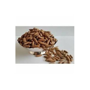 Nature Organic Pine <b>Nuts</b> Highly Nutritious Wild Pine <b>Kernels</b> with Shells Highly Searched Best Quality Sweet Raw Processing - Product Image 5