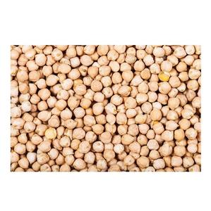 Garbanzos Secos Orgánicos Kabuli a Granel de la Mejor Calidad, Precio de Venta Caliente - Product Image 4