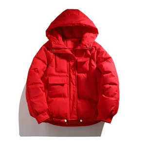 2024 hommes de haute qualité à capuche bulle doudoune col montant imperméable hiver matelassé rembourrage laine doublé personnalisable haute - Product Image 4