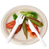 Tendances : Lots de cuillères, fourchettes et couteaux en papier biodégradables et écologiques pour diverses occasions, célébrations et rassemblements