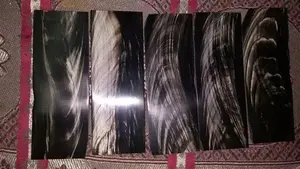 Escala de cuerno de búfalo de agua tallada a mano de buena calidad, Marco óptico Natural, placa cruda, placas de cuerno pulidas a precio mayorista - Product Image 4