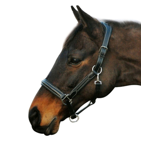 Produits équestres professionnels pour chevaux Conception de matériaux en PVC souple et étanche Ensemble de licou de cheval de style occidental avec raccord en laiton - Product Image 4