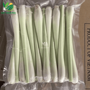 Vente en gros de tige de citronnelle congelée biologique de qualité supérieure du Vietnam emballage en vrac à prix bon marché - Product Image 6