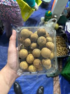Longan Fresco de Origen Vietnamita de Primera Calidad, Sabor Dulce, Rico en Vitaminas para Exportación y Mercados Internacionales - Product Image 2