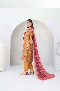 Shalwar Kameez de Invierno para Mujer de Alta Calidad, Estilo Pakistaní, Calidad de Exportación, Precio al por Mayor - Product Image 4