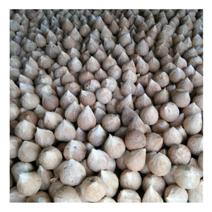 มะพร้าวสดแบบเวียดนามที่อุดมไปด้วยเนื้อมะพร้าวกึ่งเปลือกมะพร้าวสำหรับทำขนมมะพร้าวปรุงอาหารด้วยมะพร้าวสด - Product Image 4