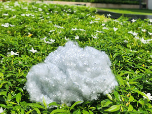 6dx64mm HCS (rỗng liên hợp siliconized) tái chế <span class=keywords><strong>Polyester</strong></span> STAPLE sợi nhà sản xuất tại Việt Nam ISO, Oeko & Grs chứng nhận - Product Image 2