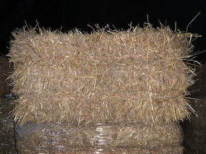 Balles de foin d'orge de qualité standard pour le bétail, avec une teneur en humidité de 12-15 %, alimentation en fibres brutes, stockées dans un endroit frais et sec, à vendre - Product Image 3