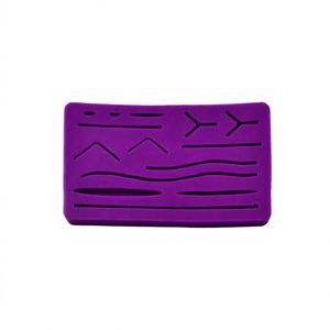 DDP Customize Skin Suture Pad Cheap Silicon Medical Training Daddy <b>D</b> Pro Anatomical <b>Model</b> Pre-Cut Wounds Medical Practice - Product Image 1